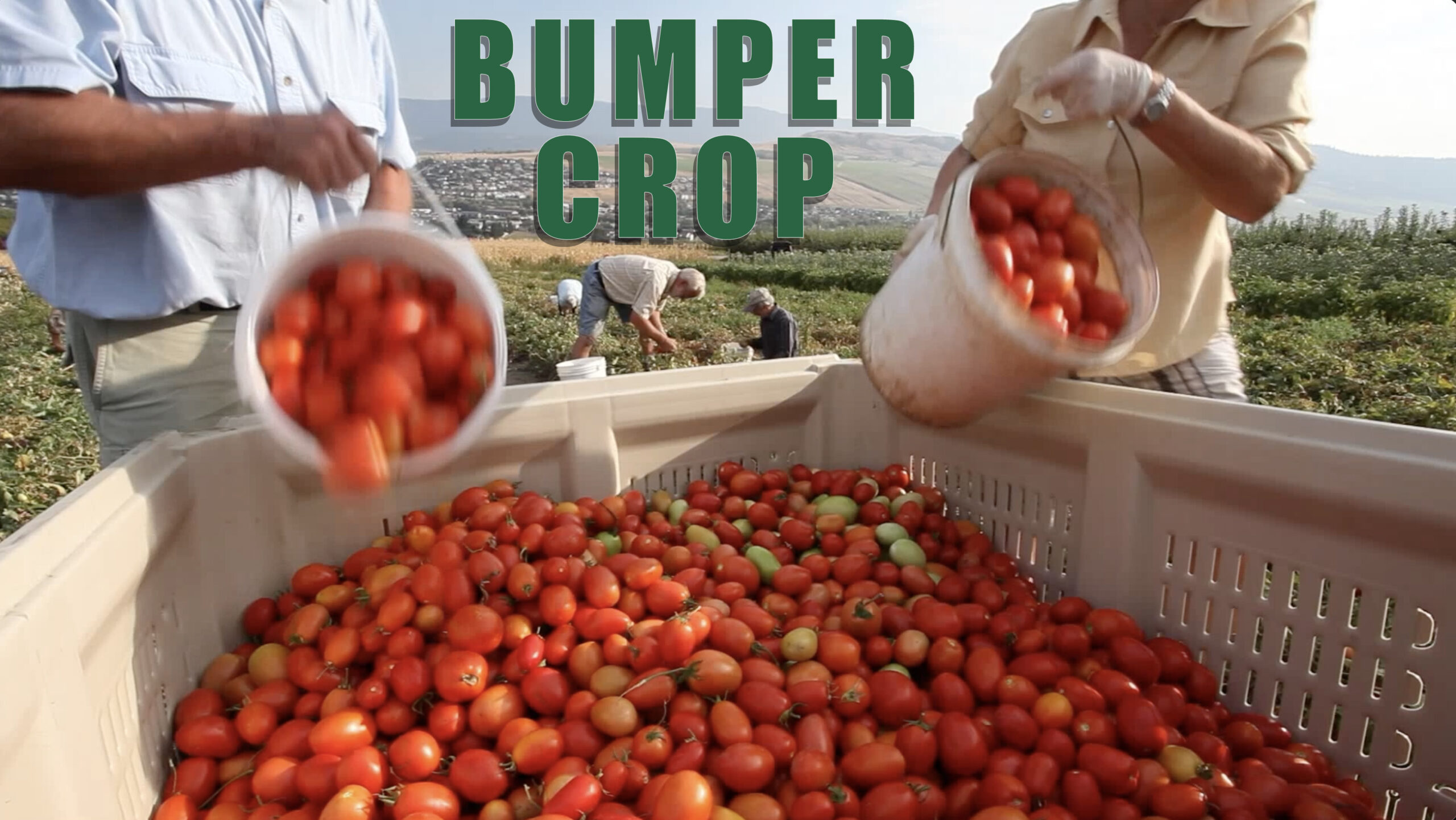 Bumper Crop Cover Shot for the Gleaners
