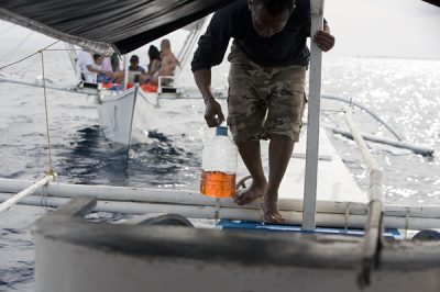 Running out of gas while dolphin watching.